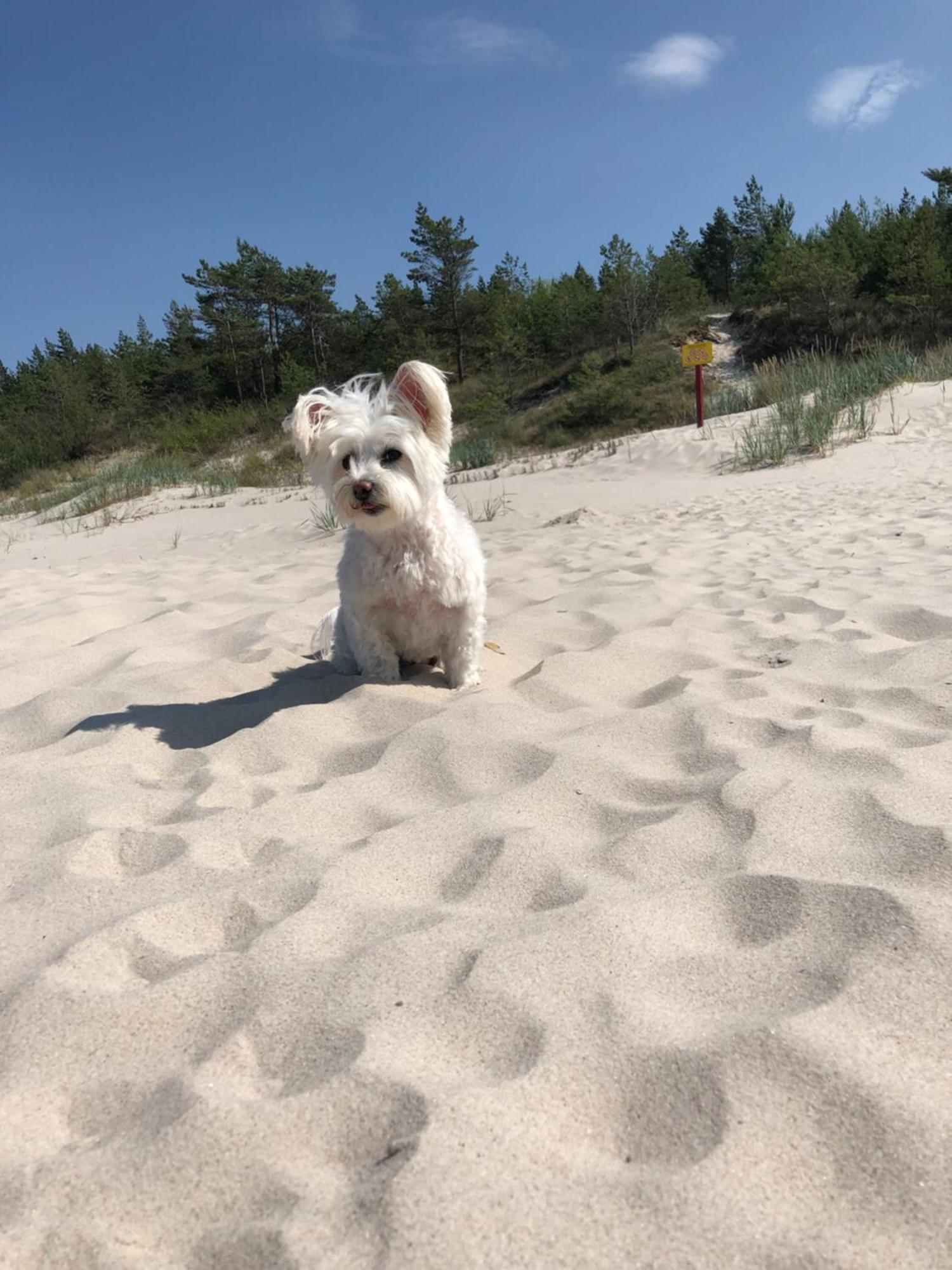 Baltic Holidays Gąski 外观 照片